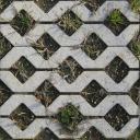 Floor Garden