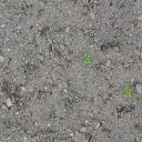 Soil