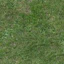 Green Grass